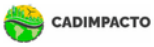 Cadimpacto